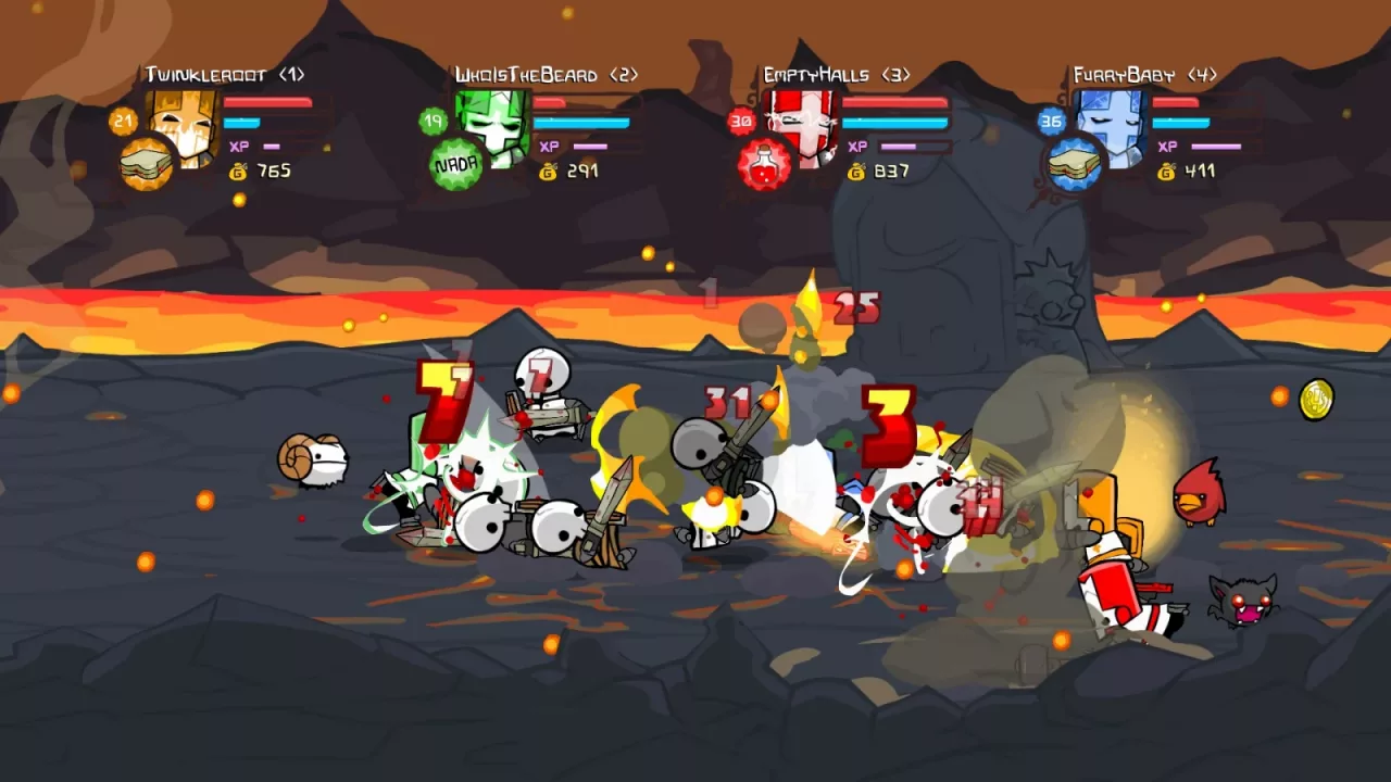 Castle Crashers®