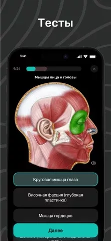 Easy Anatomy: 3D Atlas + AI