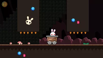 A Pretty Odd Bunny