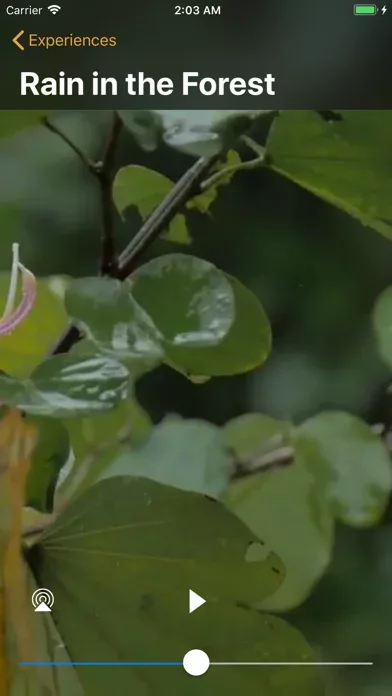 Rain Sounds - Relax and Focus