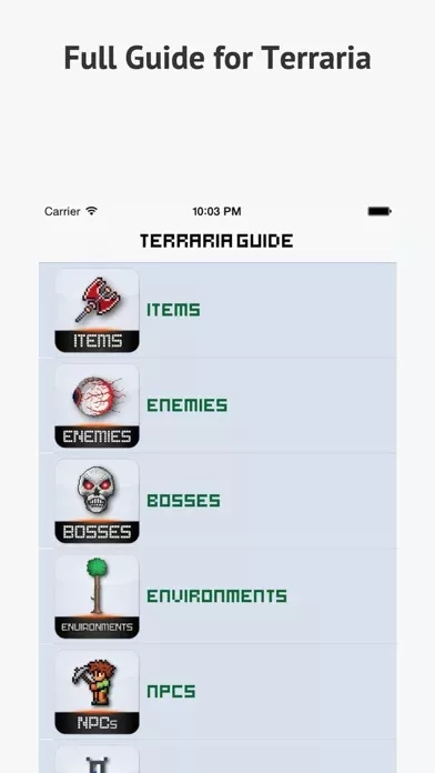 Guide & Wiki for Terraria