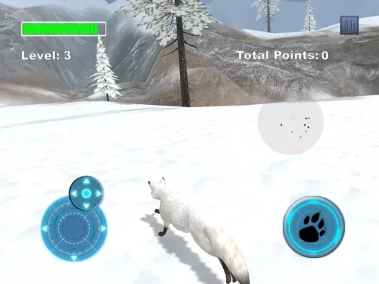 Arctic Fox