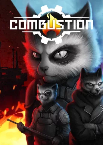 Combustion