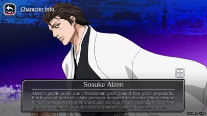 Bleach: Brave Souls Anime Game