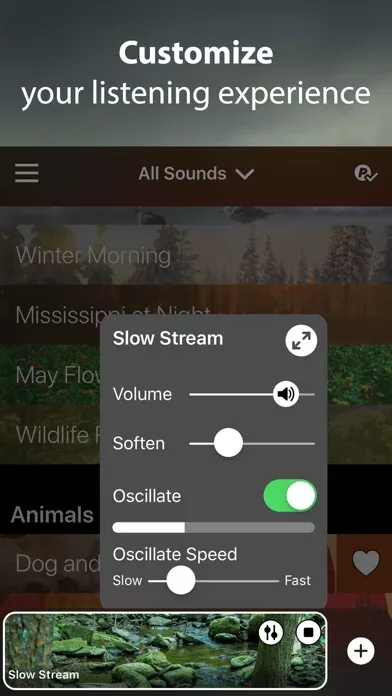 Rain Rain Sleep Sounds
