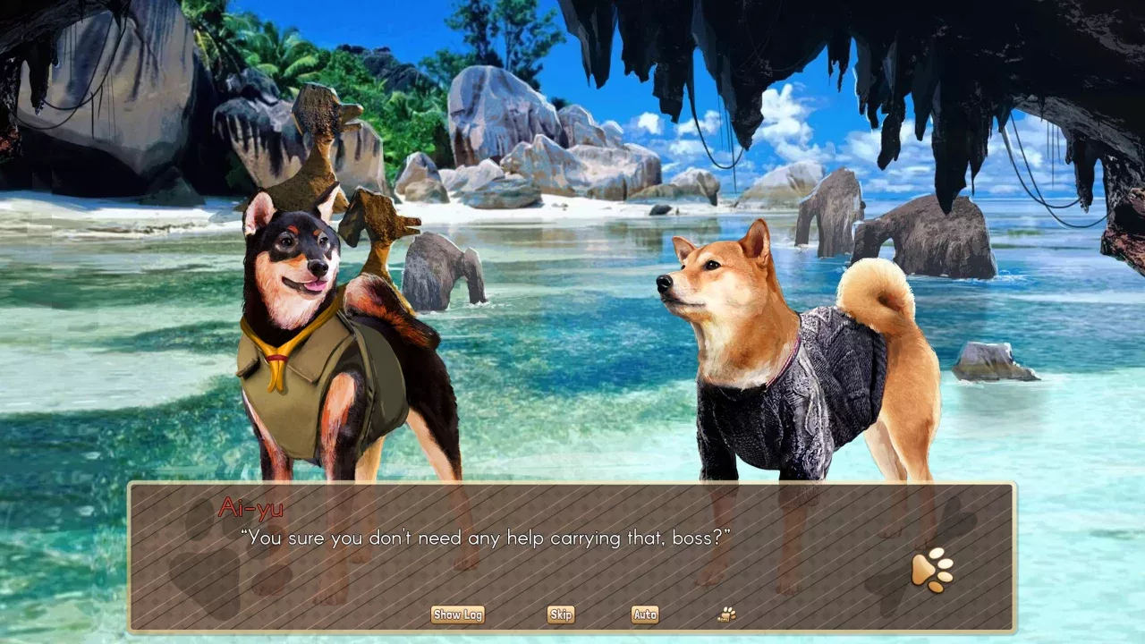 A Summer with the Shiba Inu