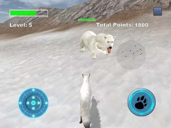 Arctic Fox