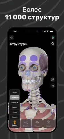 Easy Anatomy: 3D Atlas + AI