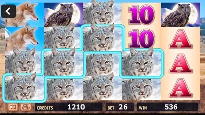 Fun Casino Slots