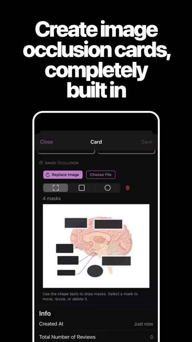 AlgoApp - Flashcards