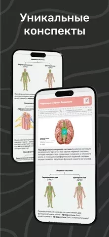 Easy Anatomy: 3D Atlas + AI