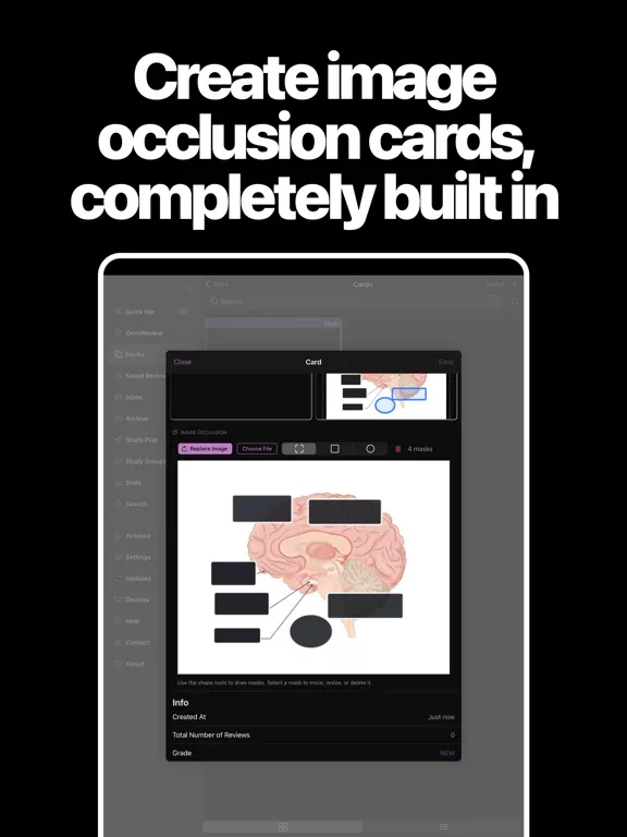 AlgoApp - Flashcards