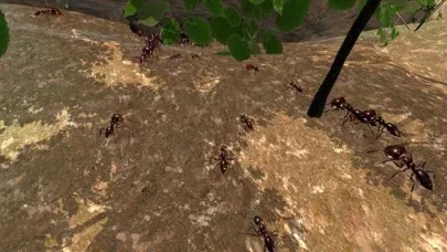 Ant Simulation 3D