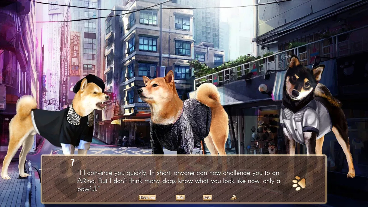 A Summer with the Shiba Inu