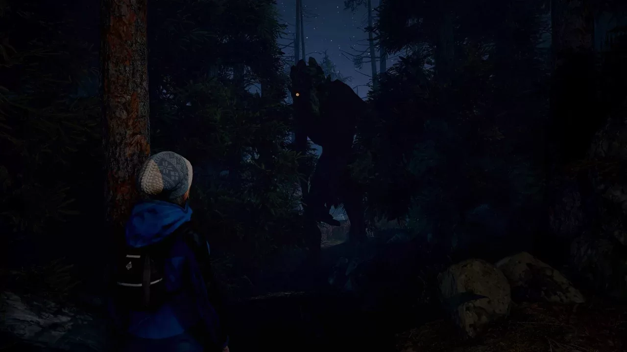 Through the Woods