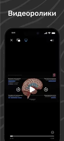 Easy Anatomy: 3D Atlas + AI