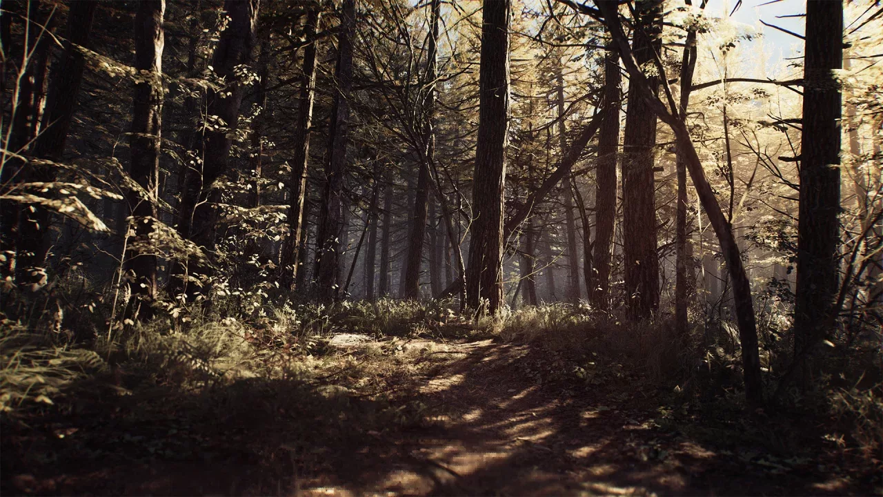 Blair Witch Deluxe Edition