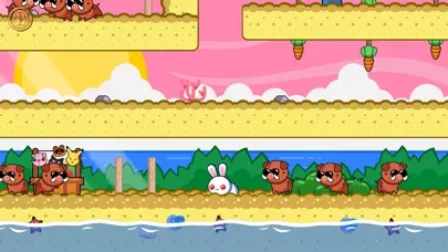 A Pretty Odd Bunny