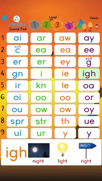 AGO Phonics Sound Pad