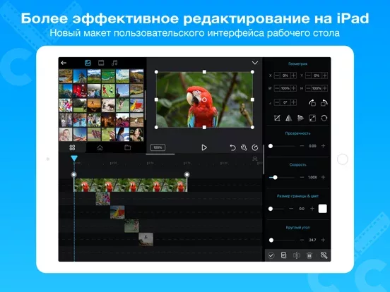 Cute CUT Pro - Video Editor