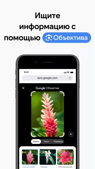 Chrome – браузер от Google