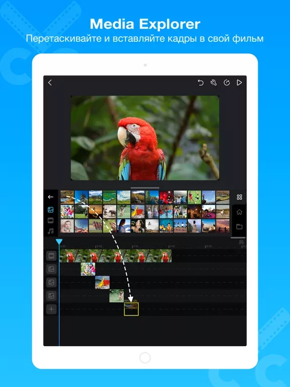 Cute CUT Pro - Video Editor