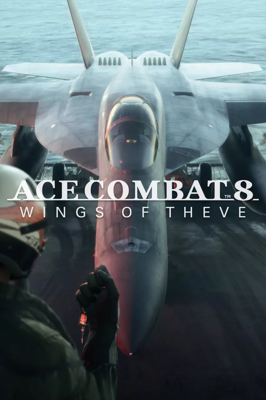 ACE COMBAT 8: WINGS OF THEVE Pre-Order