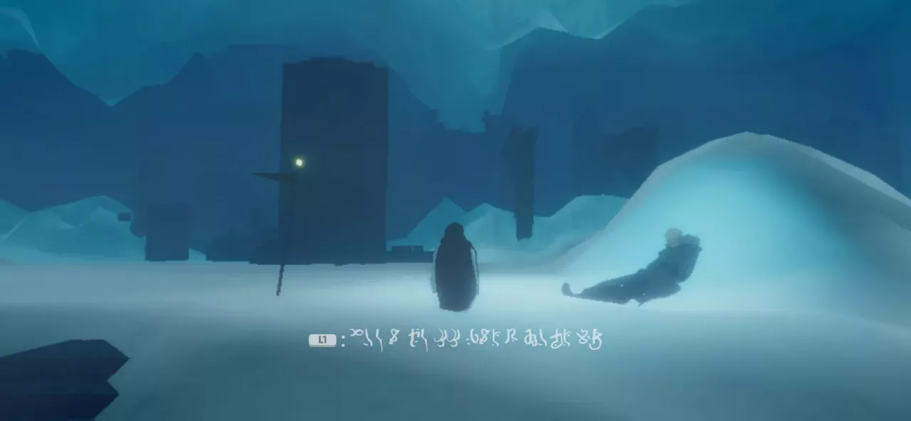 Penguin Colony