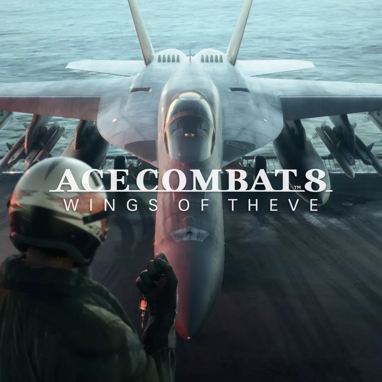 ACE COMBAT 8: WINGS OF THEVE Pre-Order