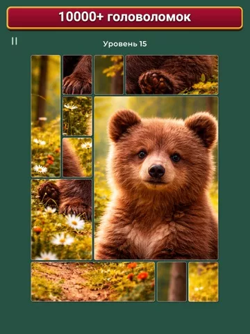 Cardscapes™: Пазлы
