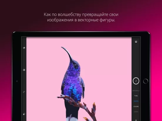 Adobe Capture:инстр. для Ps,Ai