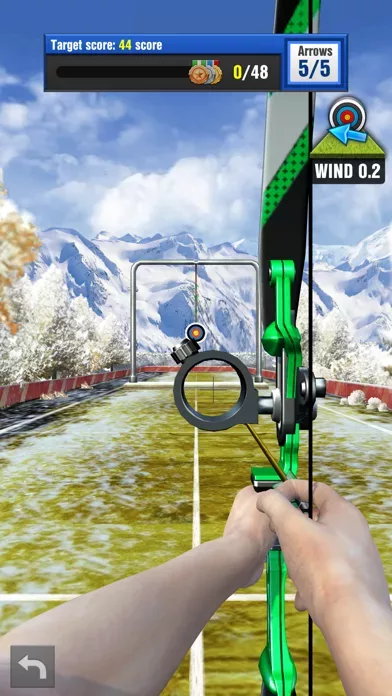 Archery Pro - Bow & Arrow