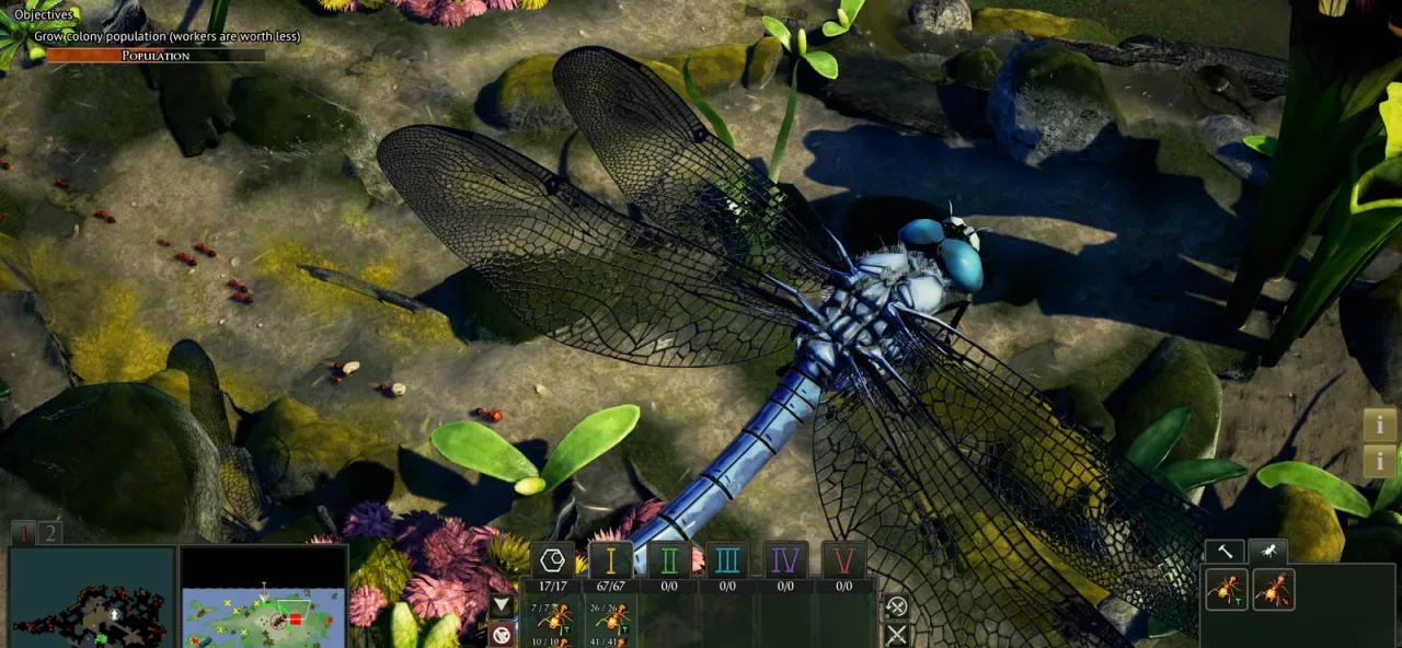 Empires of the Undergrowth