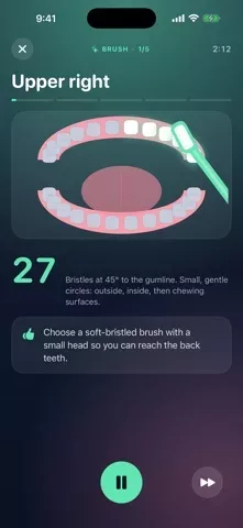 Brushwise