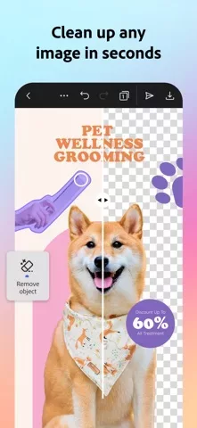 Adobe Express: Create Anything