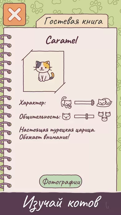 Cats Hotel: The Grand Meow