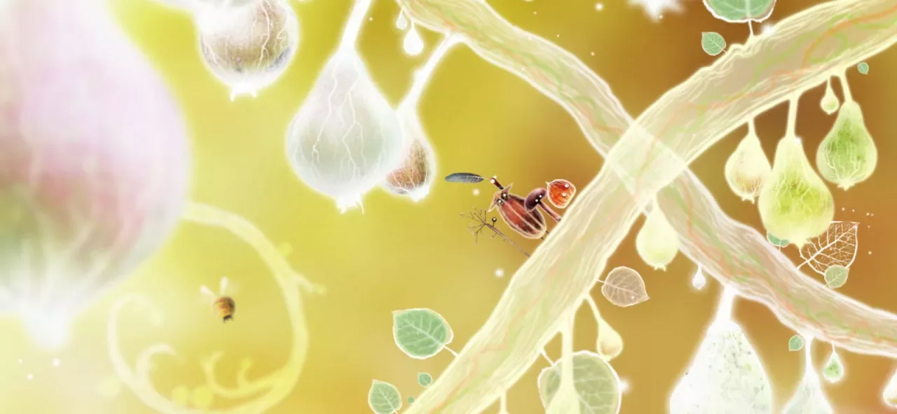 Botanicula Collectors Edition