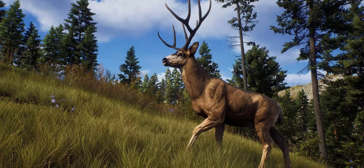 Way of the Hunter Elite Edition