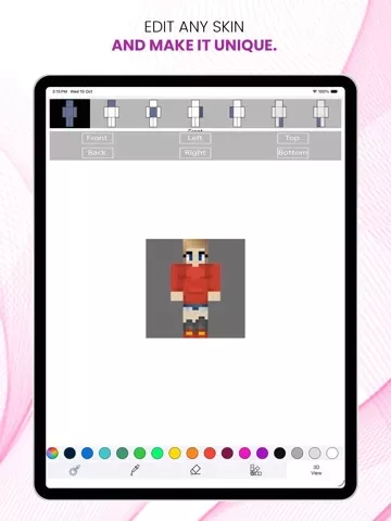 Best Girl Skins for Minecraft