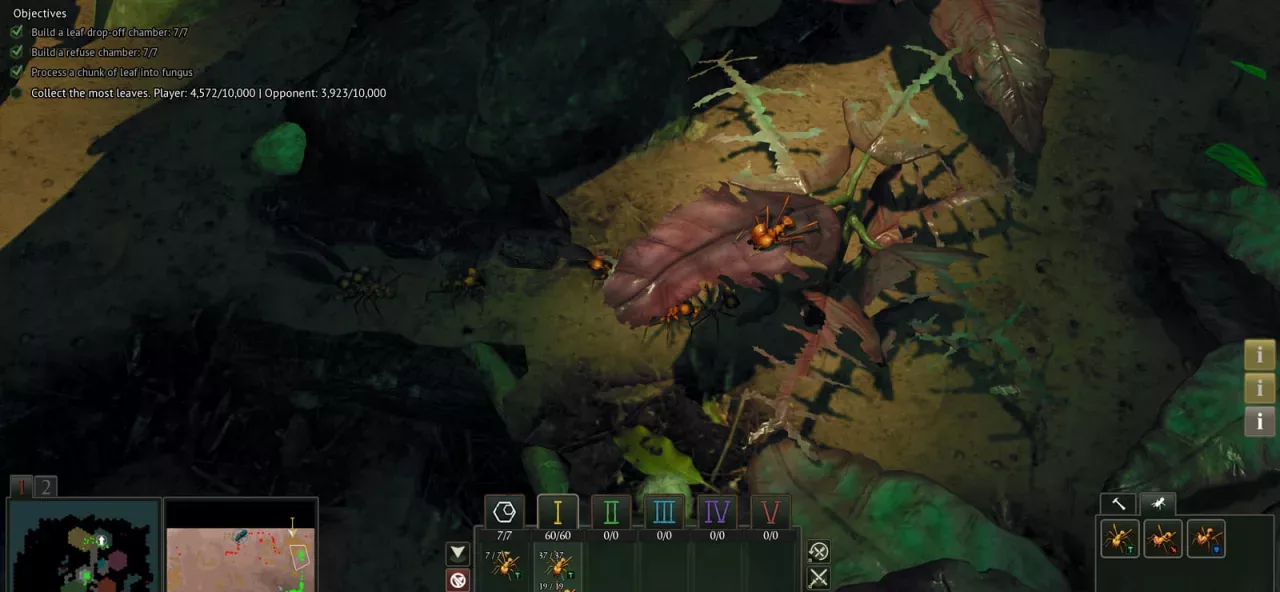 Empires of the Undergrowth